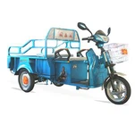 Elektryczny trójkołowy rower dla dorosłych