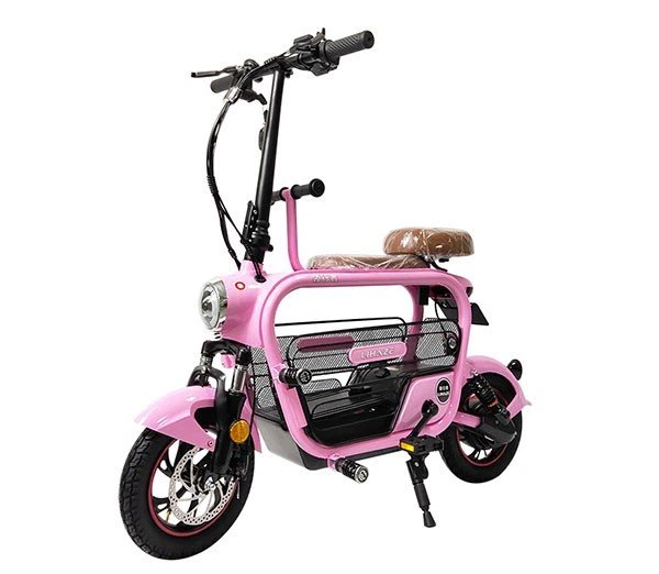 Lithnium Foldable Bicycle